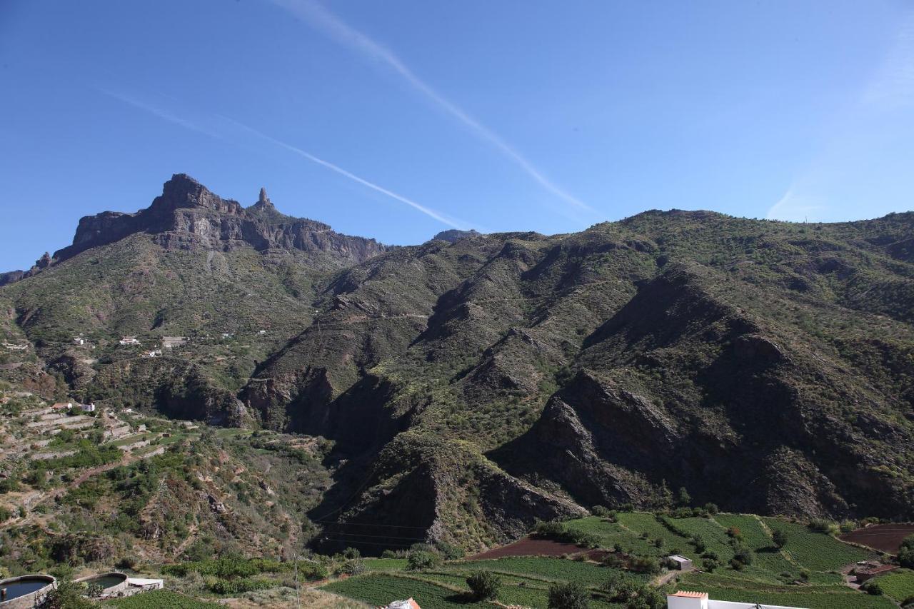 Vacacional La Tea The Best Location And The Best Views Tejeda  Exteriör bild