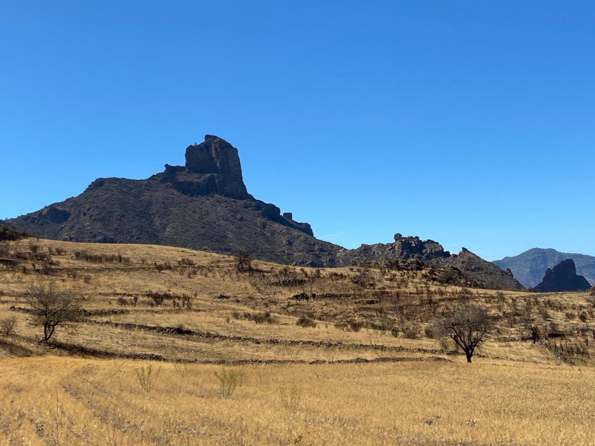 Vacacional La Tea The Best Location And The Best Views Tejeda  Exteriör bild